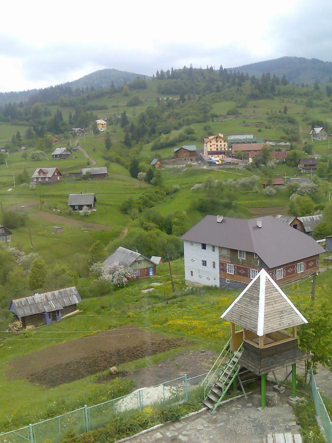 Kolo Druziv Villa Slavske Bagian luar foto